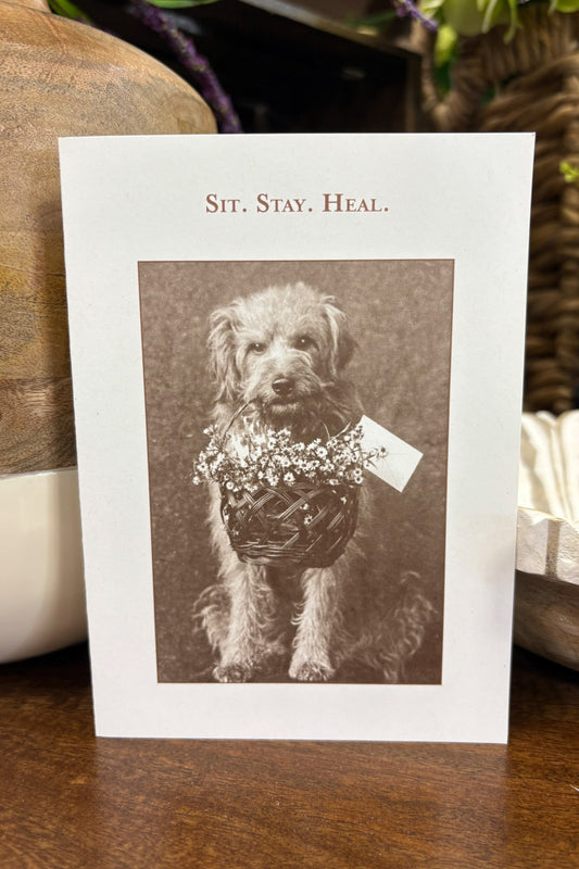 Shannon Greeting Card