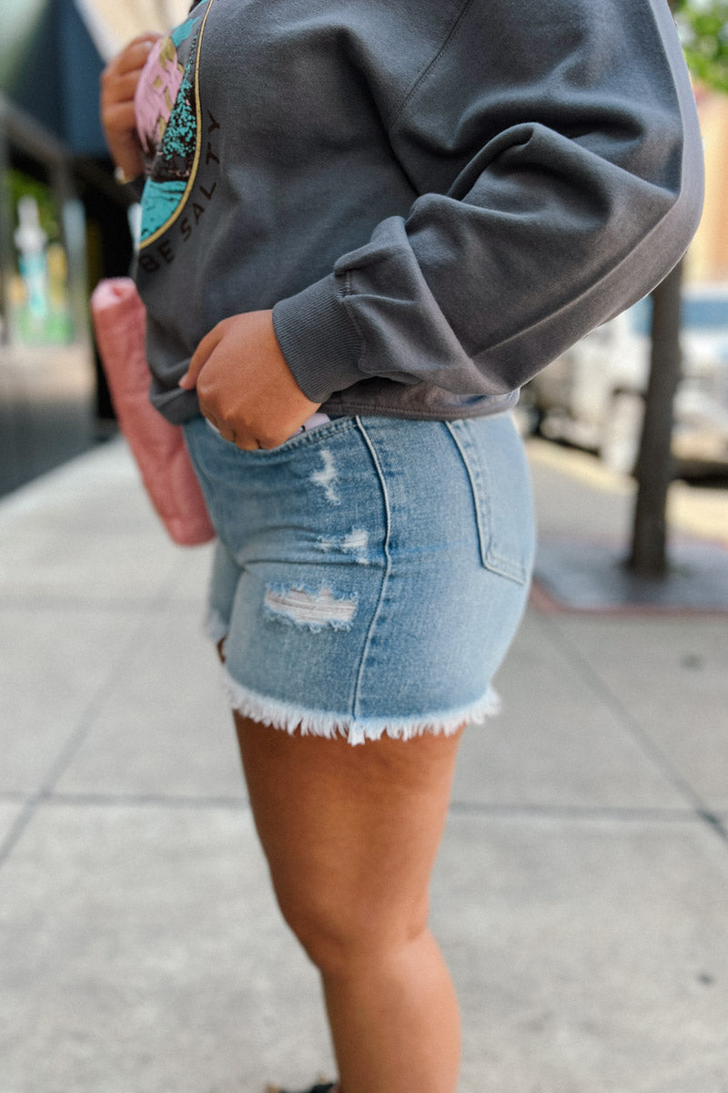Whitney Distressed Fray Hem Shorts